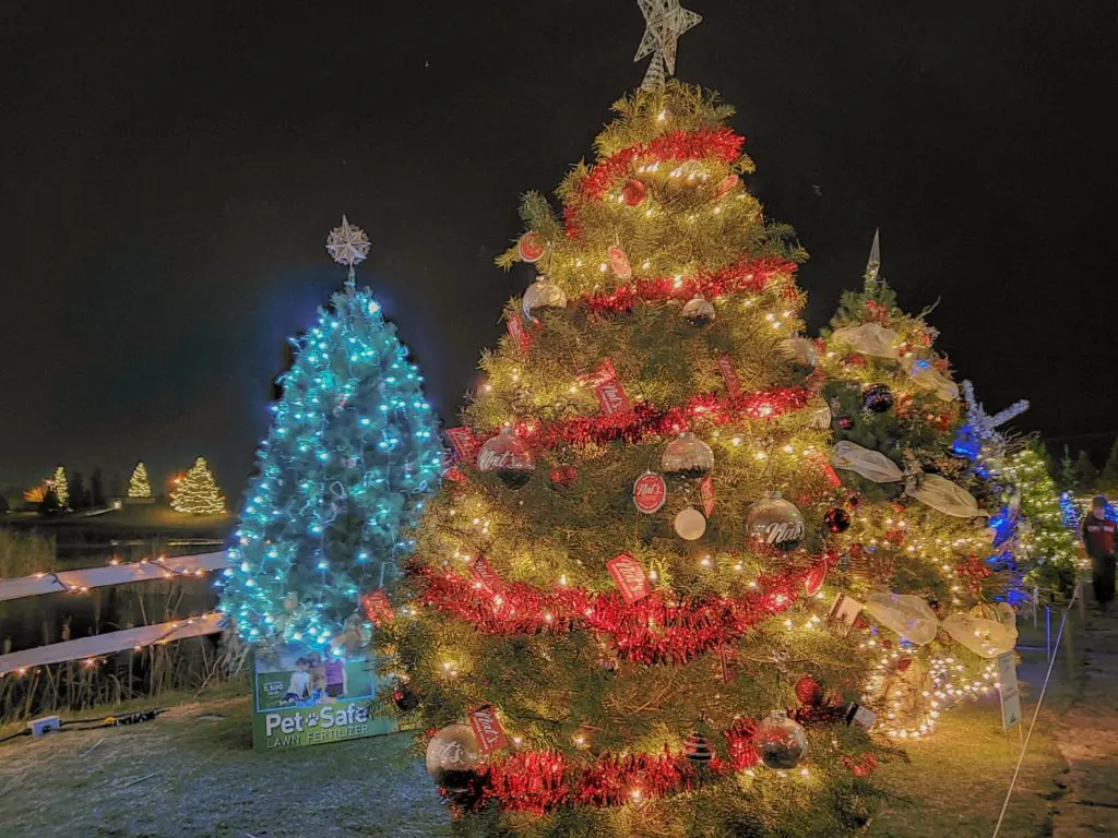 Christmas trees at Tsawwassen Springs