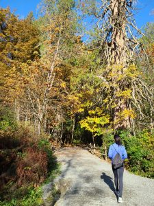 Goldstream Provincial Park