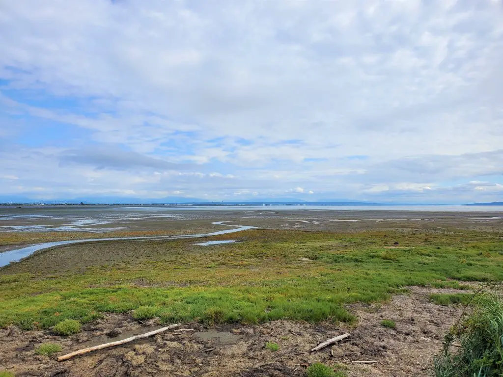 Tsawwassen Beach Grove 