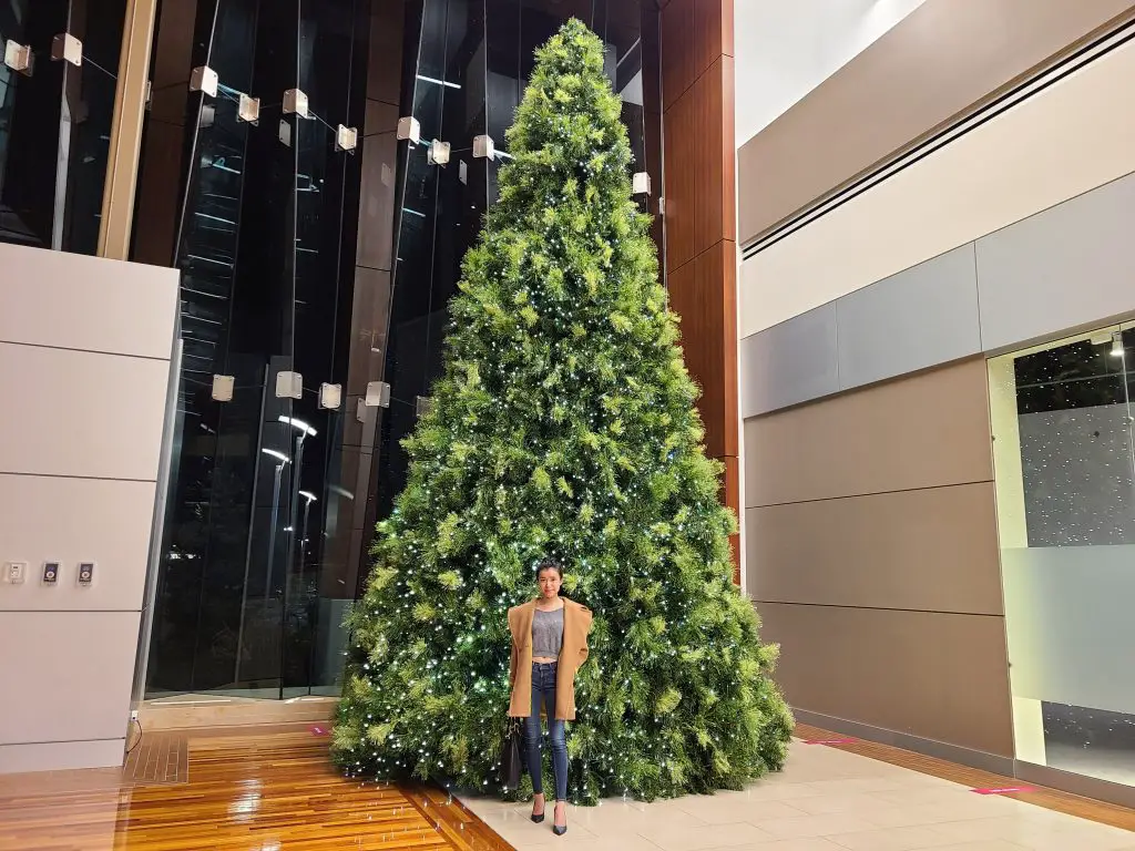Tsawwassen Mills Christmas Tree, 2020