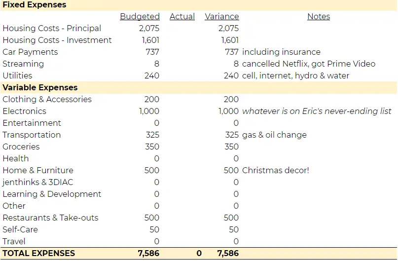 Nov 2020 Money Diary Budget